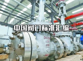 中國(guó)閥門標(biāo)準(zhǔn)匯編